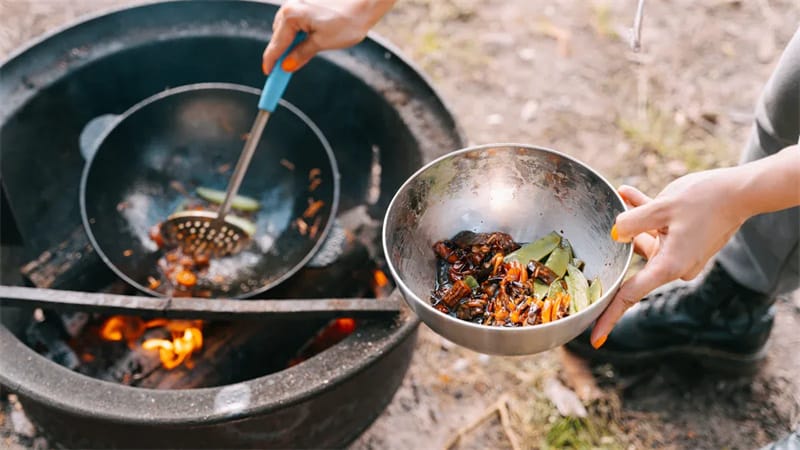 How Air Fryers Transform Outdoor Cooking